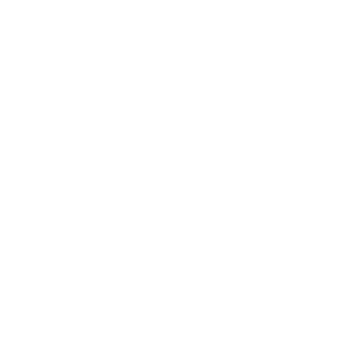 icon cloud security